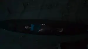 Задник до фильму"" #538440