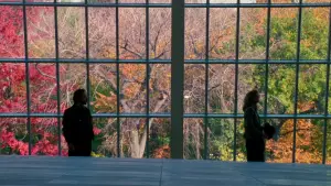 Задник до фильму"Коли Гаррі зустрів Саллі" #665180