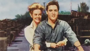 Задник до фильму"" #677616