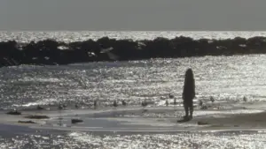 Задник до фильму"Willow World" #777814