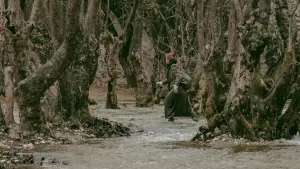 Задник до фильму"" #536759