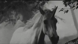 Задник до фильму"Той, хто біжить по лезу" #563424