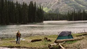 Задник до фильму"Горбата гора" #520842