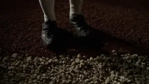 Задник до фильму"Поле чудес" #719606