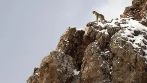 Задник до фильму"" #390736