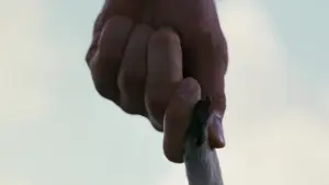 Задник до фильму"Ейс Вентура: Поклик природи" #808872