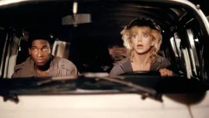 Задник до фильму"Дикі кішки" #417013