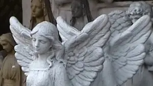 Задник до фильму"Castration Movie Expansion Pack i. You