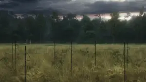 Задник до фильму"Анігіляція" #618573