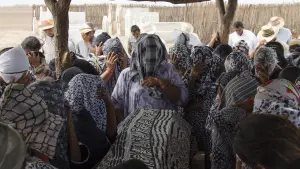 Задник до фильму"" #469406