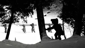 Задник до фильму"Hundreds of Beavers" #756236