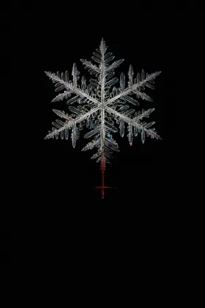 Постер до фильму"Будиночок" #710812