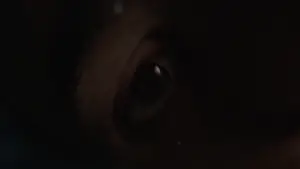 Задник до фильму"Снігова спільнота" #686989