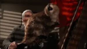 Задник до фильму"Голий пістолет: Із файлів поліційного відділку" #637883