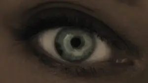 Задник до фильму"У загублених землях" #579340