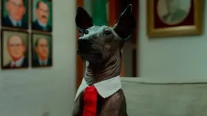 Задник до фильму"Una Película de Amor y Guerra" #758266