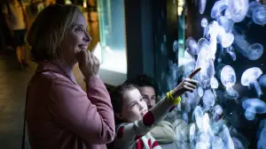 Задник до фильму"Моя Зої" #672263