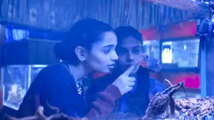 Задник до фильму"" #650400