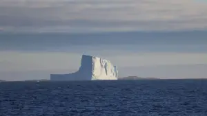 Задник до фильму"Антарктида" #670573