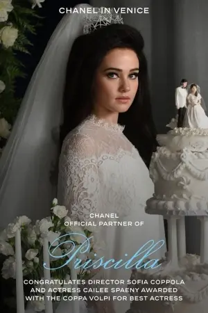 Постер до фильму"Прісцилла" #193061