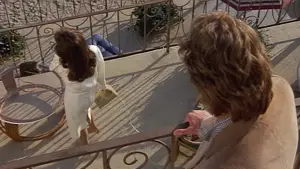 Задник до фильму"Підставне тіло" #648183