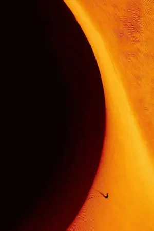 Постер до фильму"Дюна" #413181