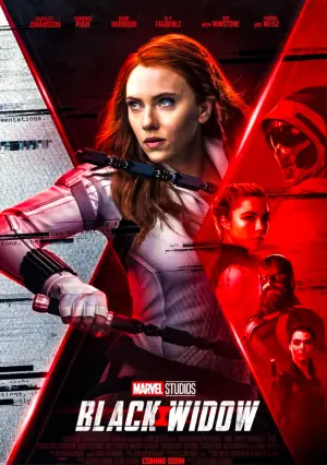 Постер до фильму"Чорна вдова" #570054