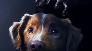 Задник до фильму"Хороший хлопчик" #517172