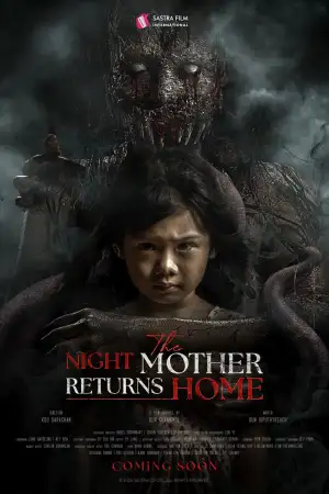 Постер до фильму"The Night Mother Returns Home" #794013