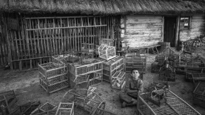 Задник до фильму"Пофарбоване пташеня" #371978