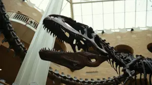 Задник до фильму"Буґонія" #511982