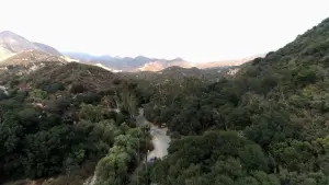 Задник до фильму"" #466546