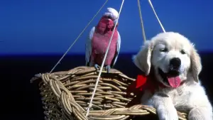 Задник до фильму"Наполеон" #646956