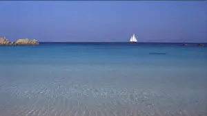 Задник до фильму"Червона пустеля" #775109