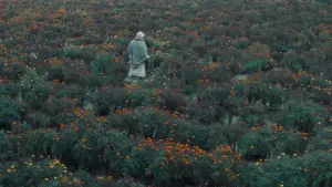 Задник до фильму"खाल बछड़ा" #777999