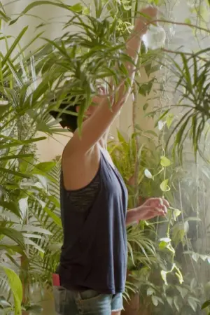 Постер до фільму "Um Dia Antes de Todos os Outros"