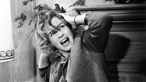 Задник до фильму"Птахи" #209987