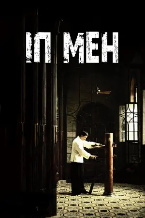 Постер до фильму"Іп Ман" #371356