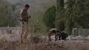 Задник до фильму"" #738079