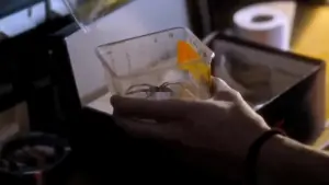 Задник до фильму"" #190659