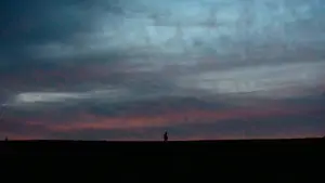 Задник до фильму"The Human Hibernation" #757296