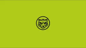 Задник до фильму"Під Сільвер Лейк" #324057