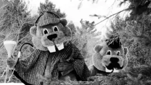 Задник до фильму"Hundreds of Beavers" #756225