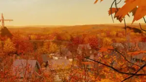 Задник до фильму"Будинок-монстр" #701320