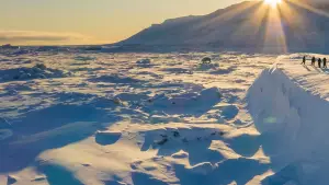 Задник до фильму"" #725165