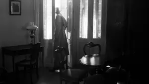 Задник до фильму"Das Verschwinden des Josef Mengele" #766131