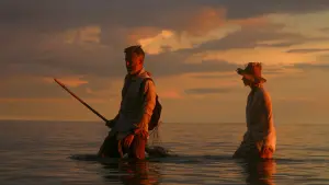 Задник до фильму"" #387657