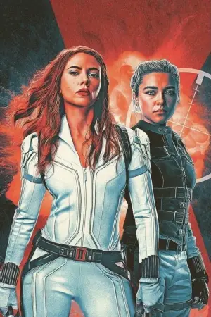 Постер до фильму"Чорна вдова" #569989