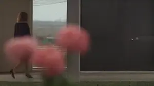 Задник до фильму"Червона пустеля" #775112