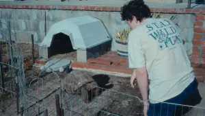 Задник до фильму"" #367217